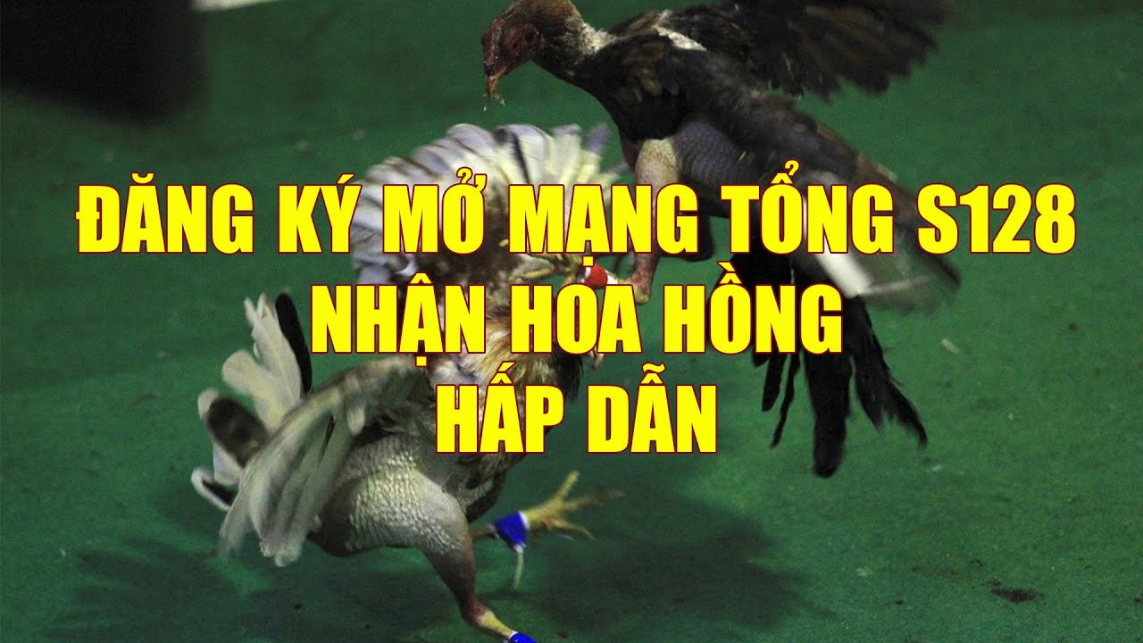 Hướng Dẫn Đăng Ký Làm Đại Lý S128 – Trường Gà Cựa Dao Đến Từ Philippines