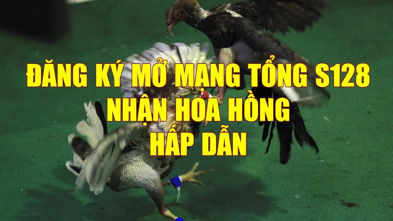Hướng Dẫn Đăng Ký Làm Đại Lý S128 – Trường Gà Cựa Dao Đến Từ Philippines