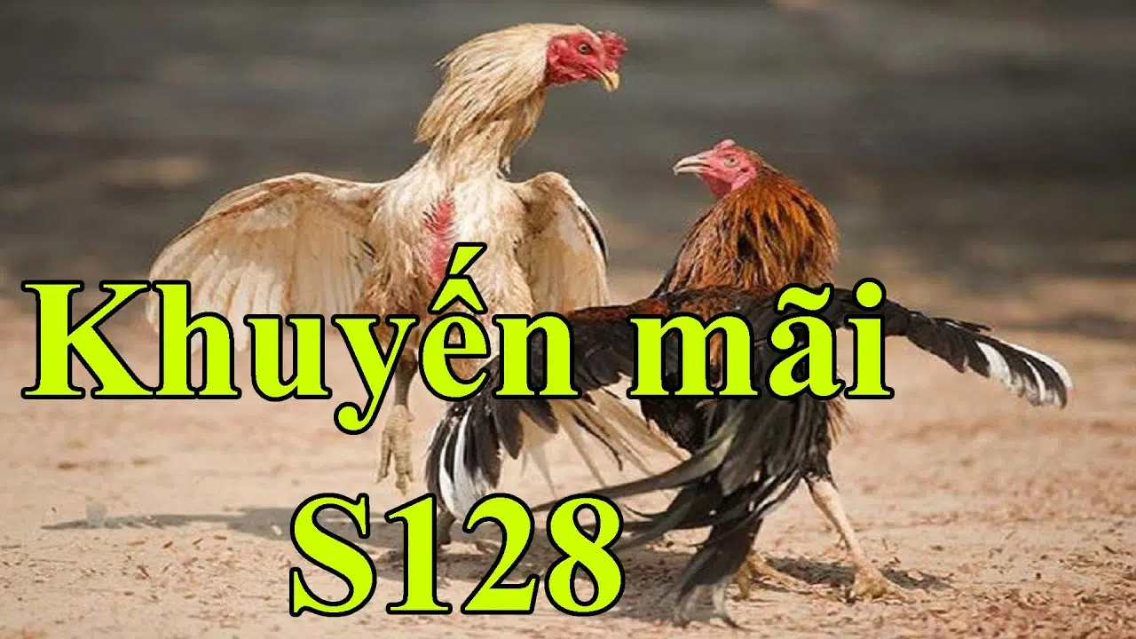 Khuyến Mãi S128 – Cách Nhận Và Lưu Ý Trong Cá Cược
