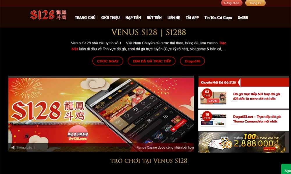 Khuyến Mãi S128 – Cách Nhận Và Lưu Ý Trong Cá Cược