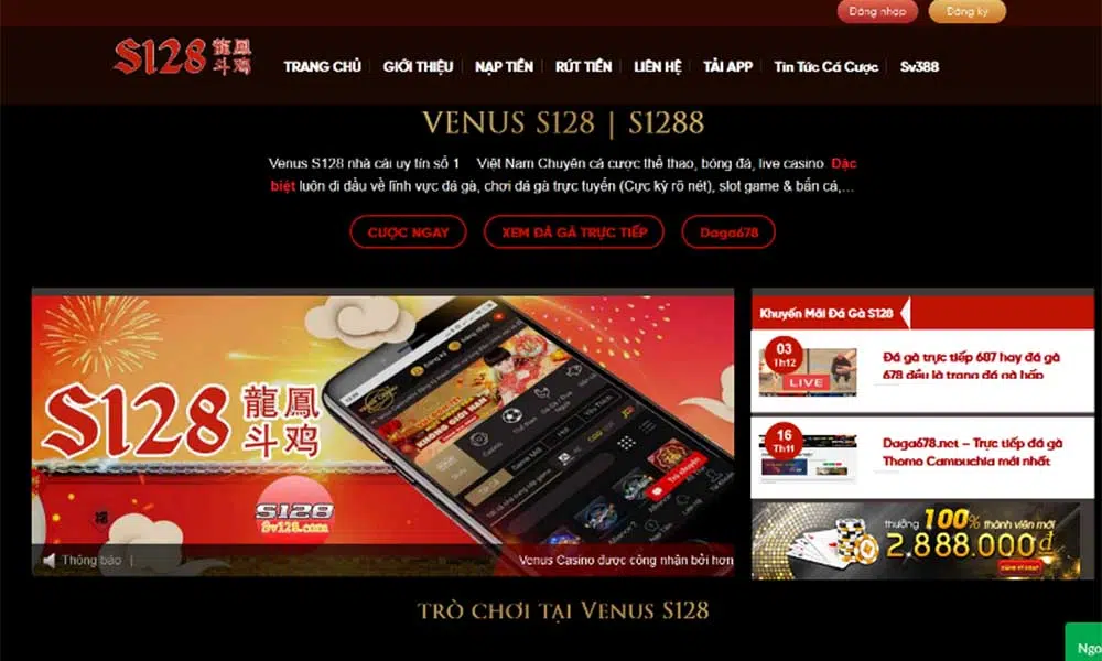 Khuyến Mãi S128 – Cách Nhận Và Lưu Ý Trong Cá Cược