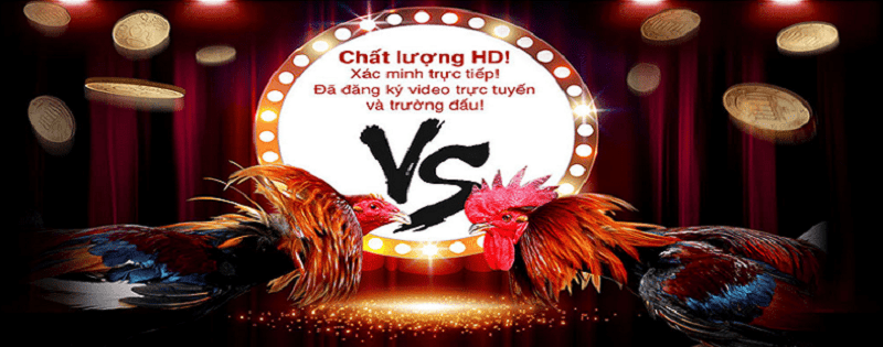 Khuyến Mãi S128 – Cách Nhận Và Lưu Ý Trong Cá Cược