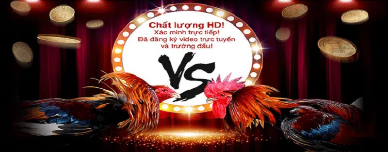 Khuyến Mãi S128 – Cách Nhận Và Lưu Ý Trong Cá Cược